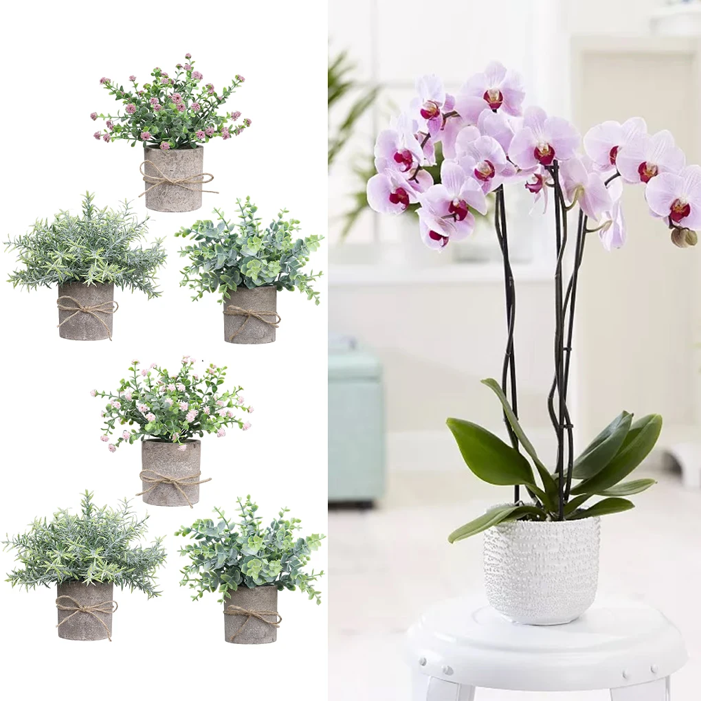 3piece False Bonsai Set Sturdy And Durable Home And Office Decoration Easy To Care For Unique
3piece False Bonsai Set Sturdy And Durable Home And Office Decoration Easy To Care For Unique