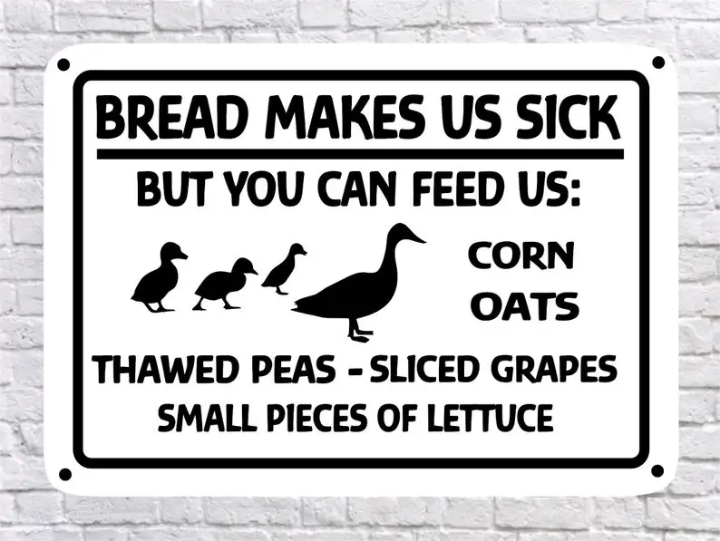 DUCK SIGN, Bread Makes Us Sick, Educational, 10x14" High Quality 040 Aluminum Sign
DUCK SIGN, Bread Makes Us Sick, Educational, 10x14" High Quality 040 Aluminum Sign