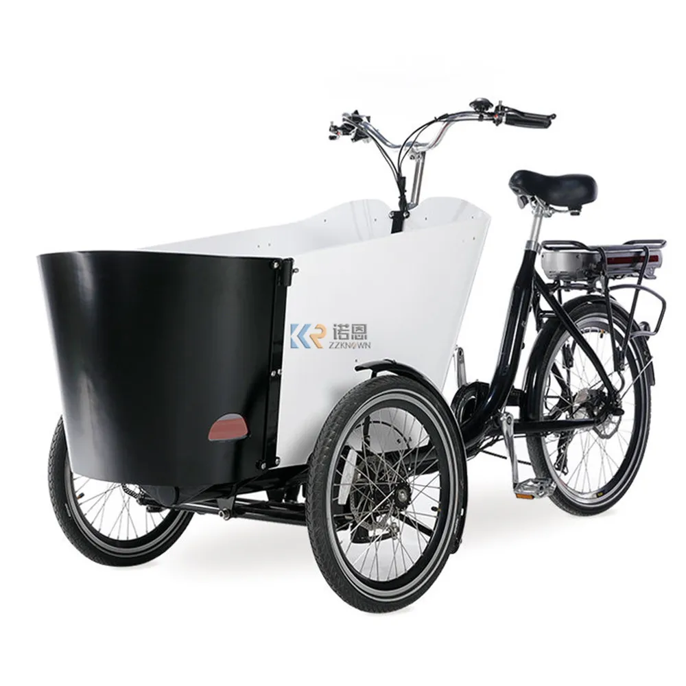 Three Wheel Electric Family Cargo Trike Model Cargo Bike with 500W Middle Motor Alloy From Bike
Three Wheel Electric Family Cargo Trike Model Cargo Bike with 500W Middle Motor Alloy From Bike
