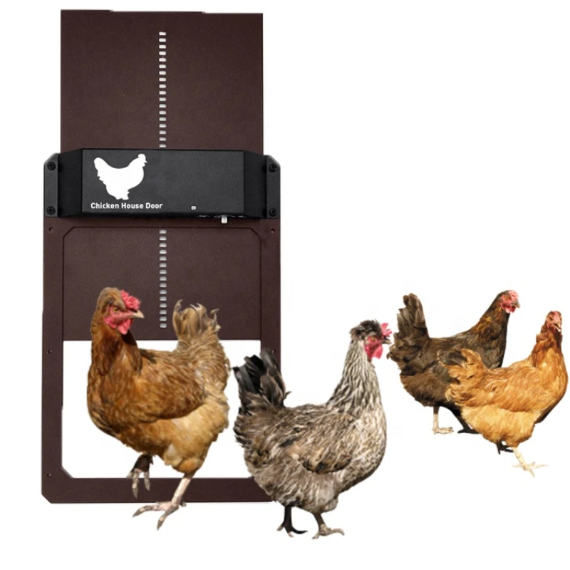 Automatische kippenhokdeur poultry farm automatic house chicken coop door opener guard door
Automatische kippenhokdeur poultry farm automatic house chicken coop door opener guard door