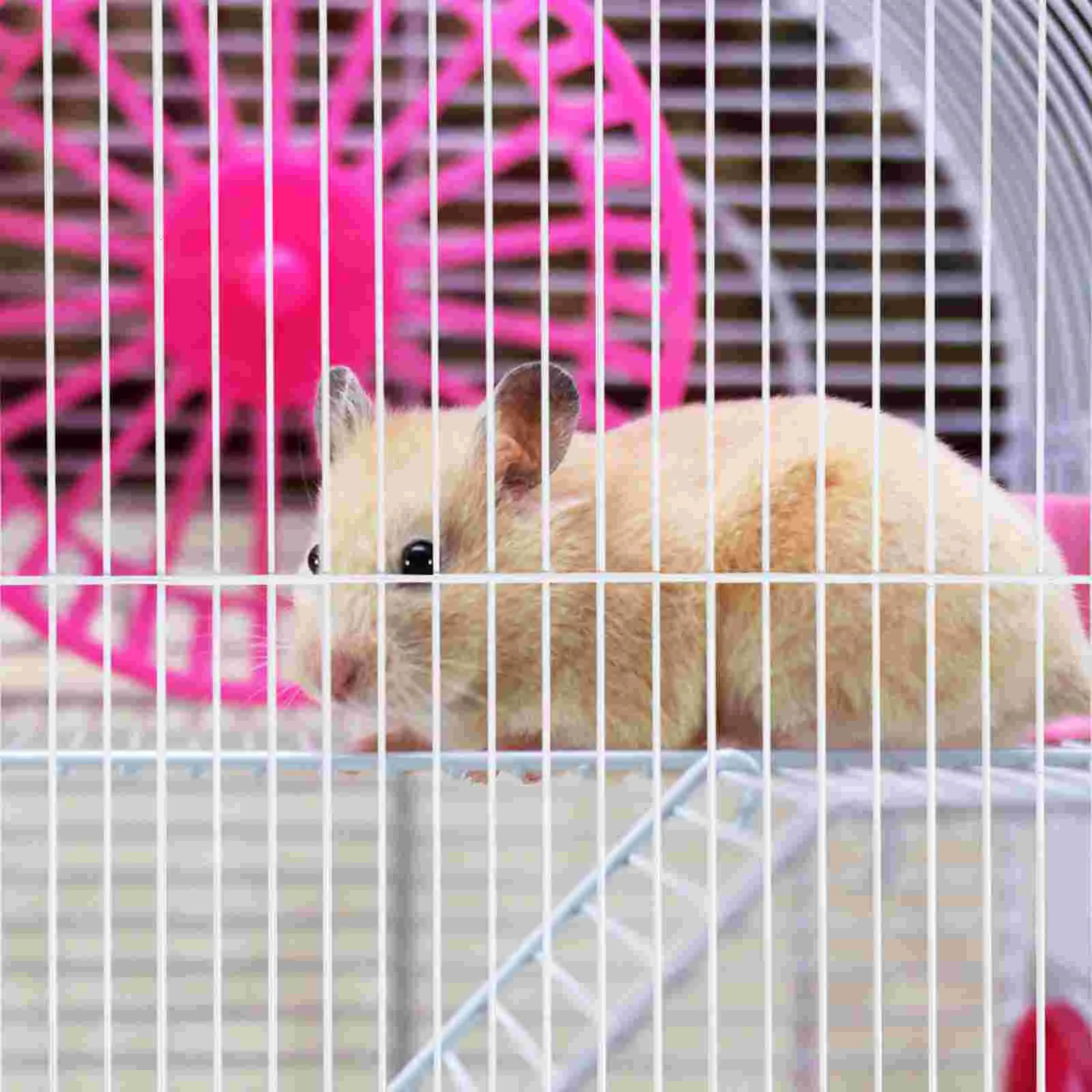 Baffle Pet Plate Playpen Cage Net Segregation Iron Panels Hamsteranimal Exercise Pen Isolation Fencedoor Board Gerbil Metal Mesh
Baffle Pet Plate Playpen Cage Net Segregation Iron Panels Hamsteranimal Exercise Pen Isolation Fencedoor Board Gerbil Metal Mesh