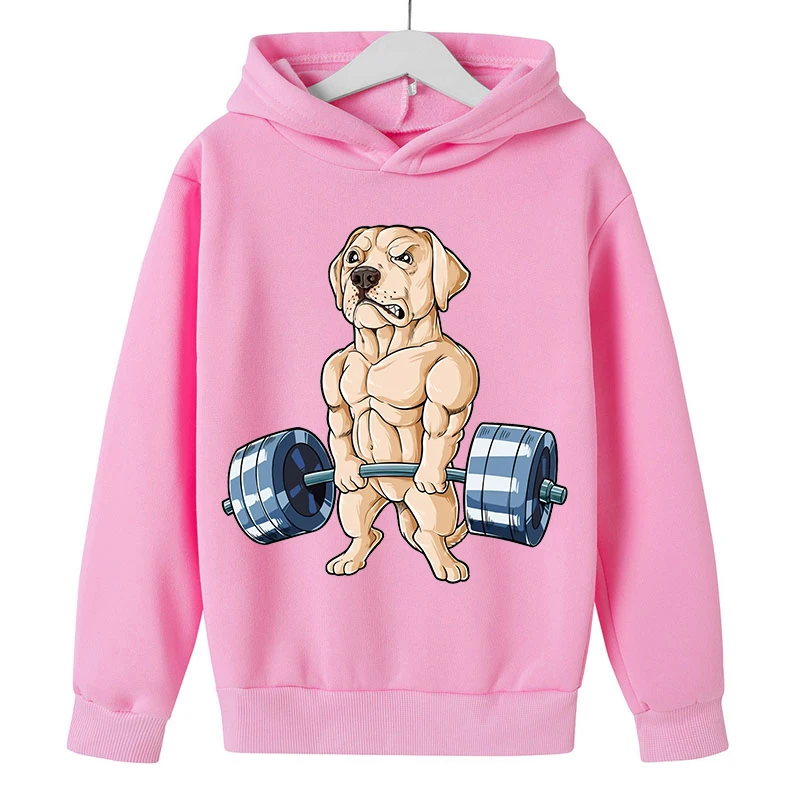 Свитшот для мальчиков 2-14 лет, с рисунком
Свитшот для мальчиков 2-14 лет, с рисунком