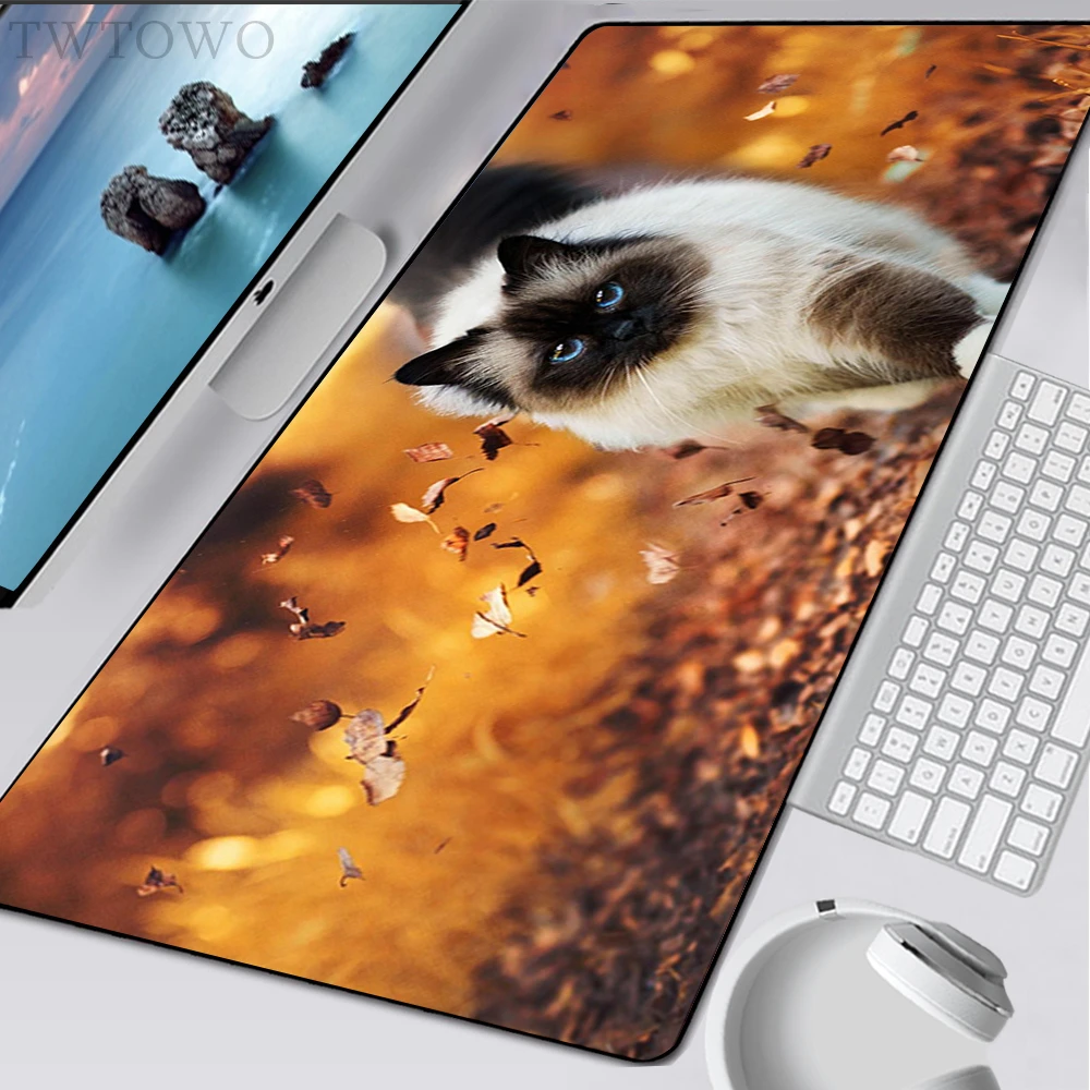 Mousepad New HD Custom keyboard pad MousePads Mouse Mat Cute Cat Natural Rubber Soft Carpet Anti-slip Mice Pad
Mousepad New HD Custom keyboard pad MousePads Mouse Mat Cute Cat Natural Rubber Soft Carpet Anti-slip Mice Pad
