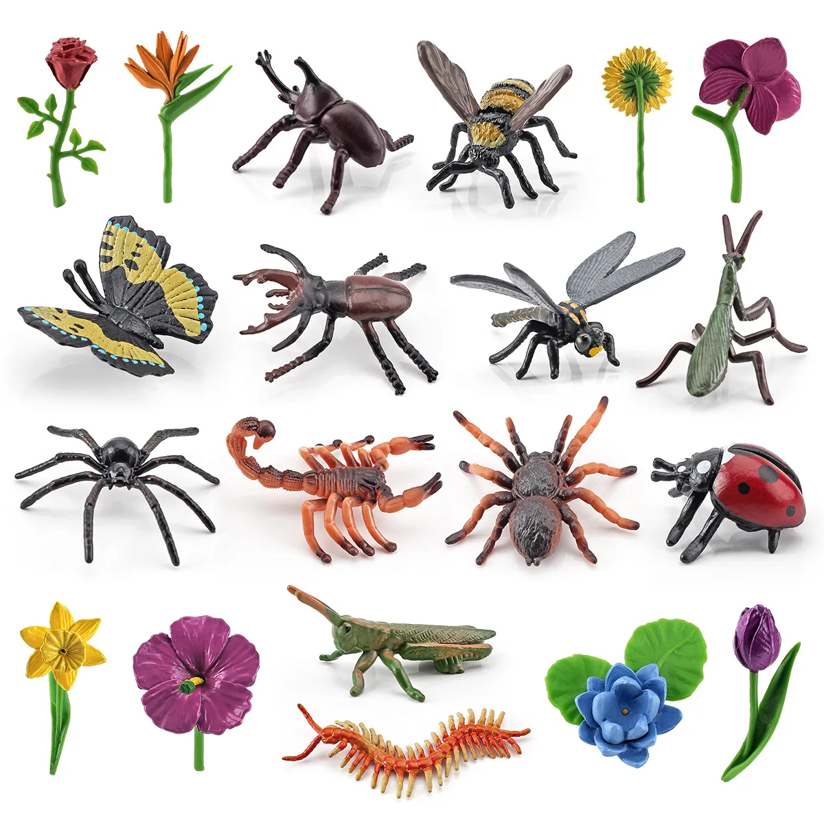 20Pcs Simulation Mini Flower Insect Model PVC Ladybug Bee Spider Action Figures Miniature Plants Cognition Kids Educational Toys
20Pcs Simulation Mini Flower Insect Model PVC Ladybug Bee Spider Action Figures Miniature Plants Cognition Kids Educational Toys