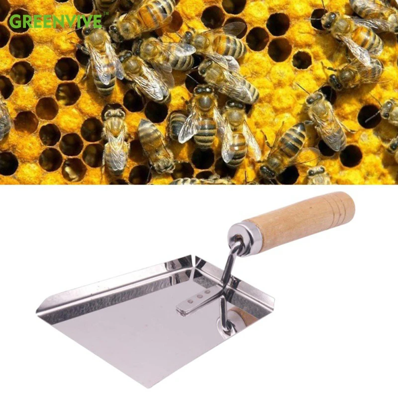 Bee Hive Stainless Steel Wood Handle Cleaning Beehive Shovel Beekeeping Clean Tool Scoop 3.15in *7.87in Honey shovel
Bee Hive Stainless Steel Wood Handle Cleaning Beehive Shovel Beekeeping Clean Tool Scoop 3.15in *7.87in Honey shovel