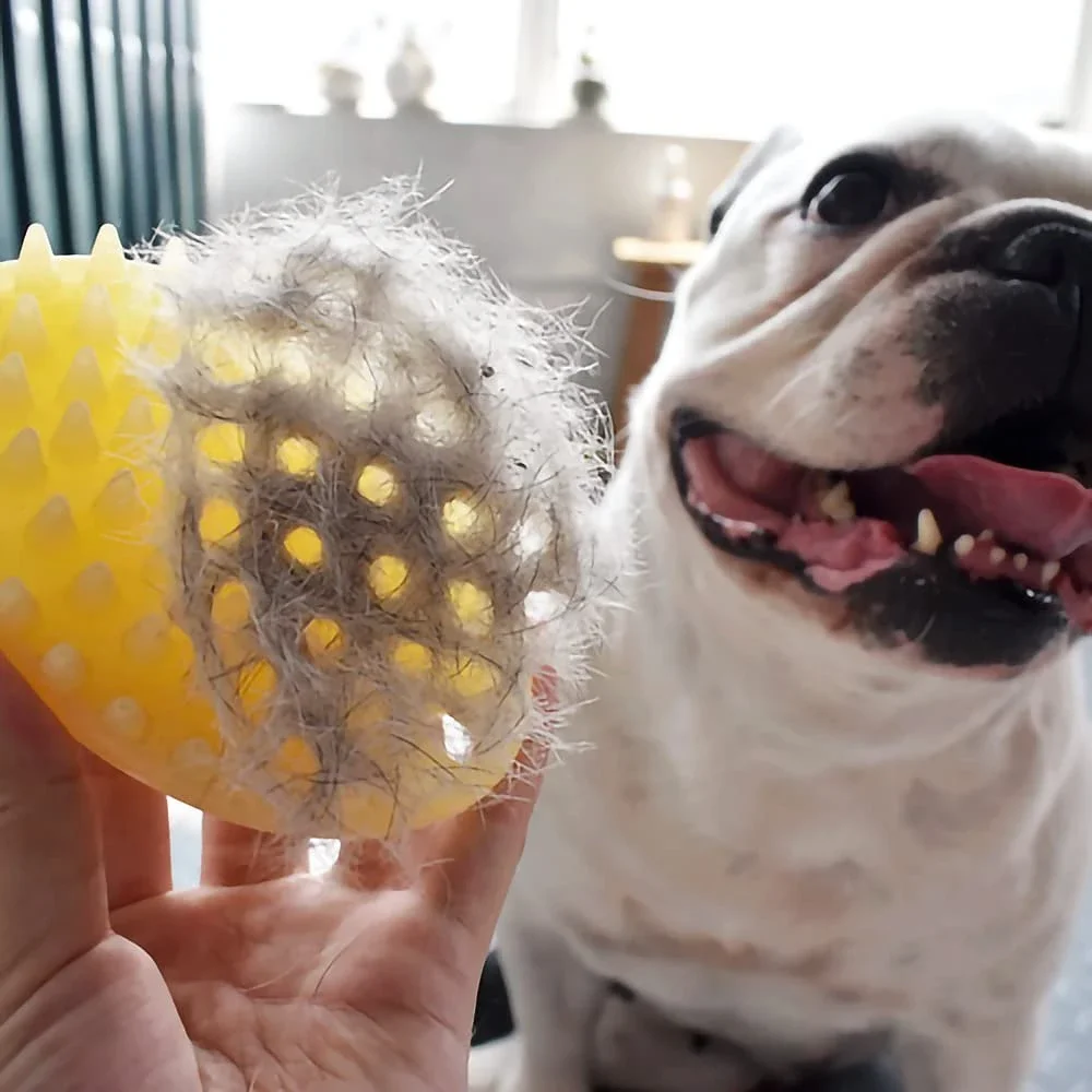 Pet Hair Removal Comb Washer Dog Cat Massage Brush Comb Cleaner Puppy Wash Tools Soft Silicone Cleaing Brush Dog Grooming 
Pet Hair Removal Comb Washer Dog Cat Massage Brush Comb Cleaner Puppy Wash Tools Soft Silicone Cleaing Brush Dog Grooming