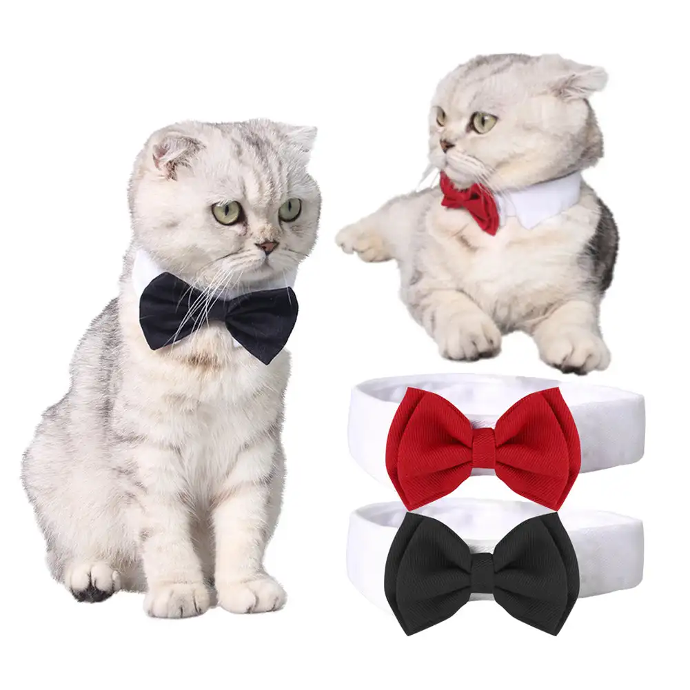Регулируемый галстук-бабочка для домашних животных, галстук для кота, галстук для шеи домашних животных, официальный ошейник для собак и ко...
Регулируемый галстук-бабочка для домашних животных, галстук для кота, галстук для шеи домашних животных, официальный ошейник для собак и ко...