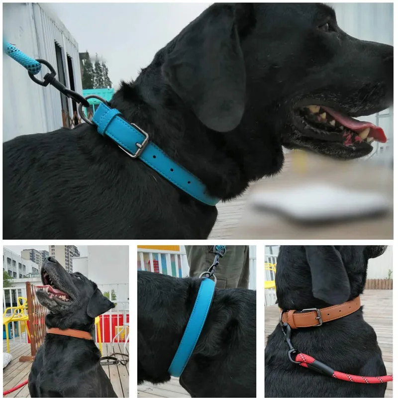Genuine Leather Pet Collar Wholesale Small and Medium Dog Leather Dog Leash Inner Fluff Comfort Hand Holding Rope Collar
Genuine Leather Pet Collar Wholesale Small and Medium Dog Leather Dog Leash Inner Fluff Comfort Hand Holding Rope Collar