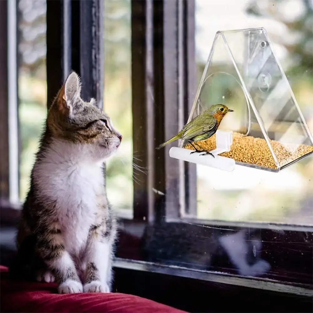 Birds Transparent Acrylic Bird Feeder Triangle Hanging Food Container For Gardens Courtyards Patios Balconies
Birds Transparent Acrylic Bird Feeder Triangle Hanging Food Container For Gardens Courtyards Patios Balconies