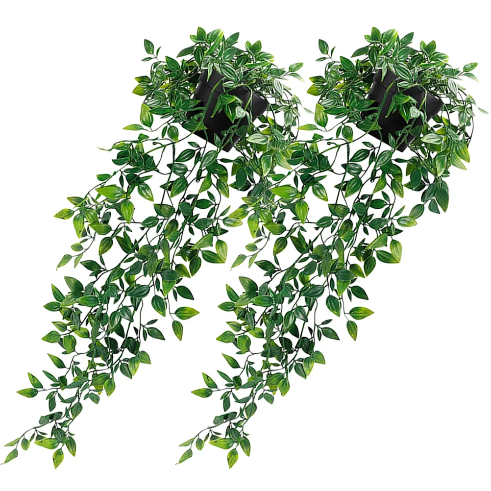 Hanging Fake Artificial Pottedivy Fauxtrailing Leaves Decor Ceiling Greenery Vine Indoor Kitchen Wall
Hanging Fake Artificial Pottedivy Fauxtrailing Leaves Decor Ceiling Greenery Vine Indoor Kitchen Wall