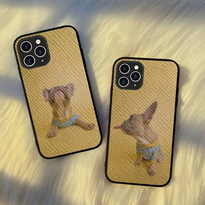 YNDFCNB Cute French Bulldog Phone Case Hard Leather Case for iPhone 11 12 13 Mini Pro Max 8 7 Plus SE 2020 X XR XS Coque
YNDFCNB Cute French Bulldog Phone Case Hard Leather Case for iPhone 11 12 13 Mini Pro Max 8 7 Plus SE 2020 X XR XS Coque