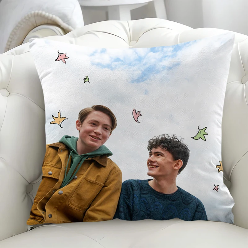 Heartstopper Pillowcase Cases Decorative Sofa Cushion Cover Pillow 45x45cm Double-sided Printing 40x40 Couch Pillows for Bedroom
Heartstopper Pillowcase Cases Decorative Sofa Cushion Cover Pillow 45x45cm Double-sided Printing 40x40 Couch Pillows for Bedroom