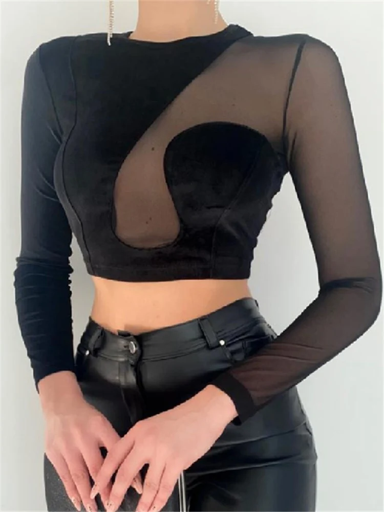 Spring Fashion Slim Sexy Velvet Mesh Gothic Long Sleeve Tee Shirt Black Women Skinny T-Shirt Girl Crop Top Y2k Vintage
Spring Fashion Slim Sexy Velvet Mesh Gothic Long Sleeve Tee Shirt Black Women Skinny T-Shirt Girl Crop Top Y2k Vintage