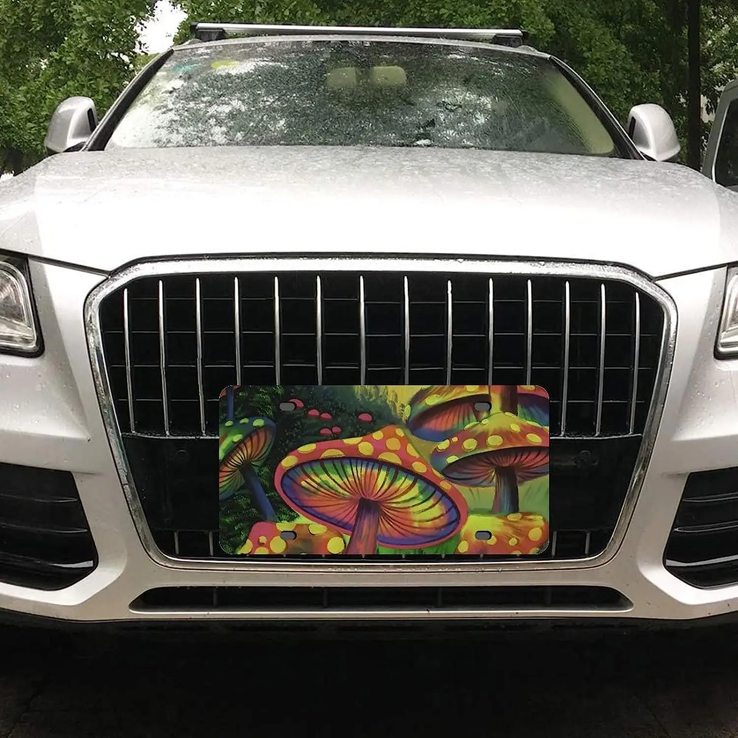 Волшебный переливающийся номерной знак с грибами, алюминиевый автомобильный передний номерной знак, Универсальная автомобильная бирка дл...
Волшебный переливающийся номерной знак с грибами, алюминиевый автомобильный передний номерной знак, Универсальная автомобильная бирка дл...