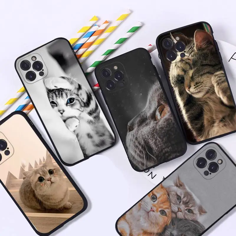 Cute Cat Phone Case For iPhone 8 7 6 6S Plus X SE 2020 XR XS 14 11 12 13 Mini Pro Max Mobile Case
Cute Cat Phone Case For iPhone 8 7 6 6S Plus X SE 2020 XR XS 14 11 12 13 Mini Pro Max Mobile Case