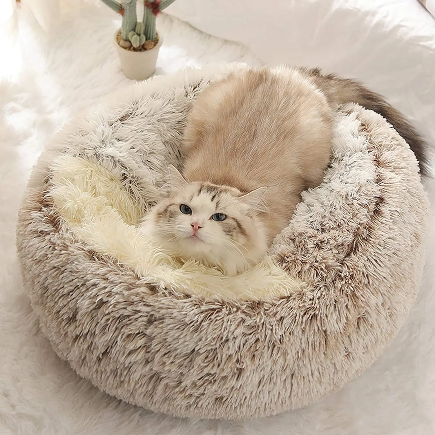 Warm Round Half-pack Cat Bed Winter 2 In 1 Plush Kennel Deep Sleep Sofa Cushion Nest Luxury Cat's House Kitten Puppy Mattress
Warm Round Half-pack Cat Bed Winter 2 In 1 Plush Kennel Deep Sleep Sofa Cushion Nest Luxury Cat's House Kitten Puppy Mattress