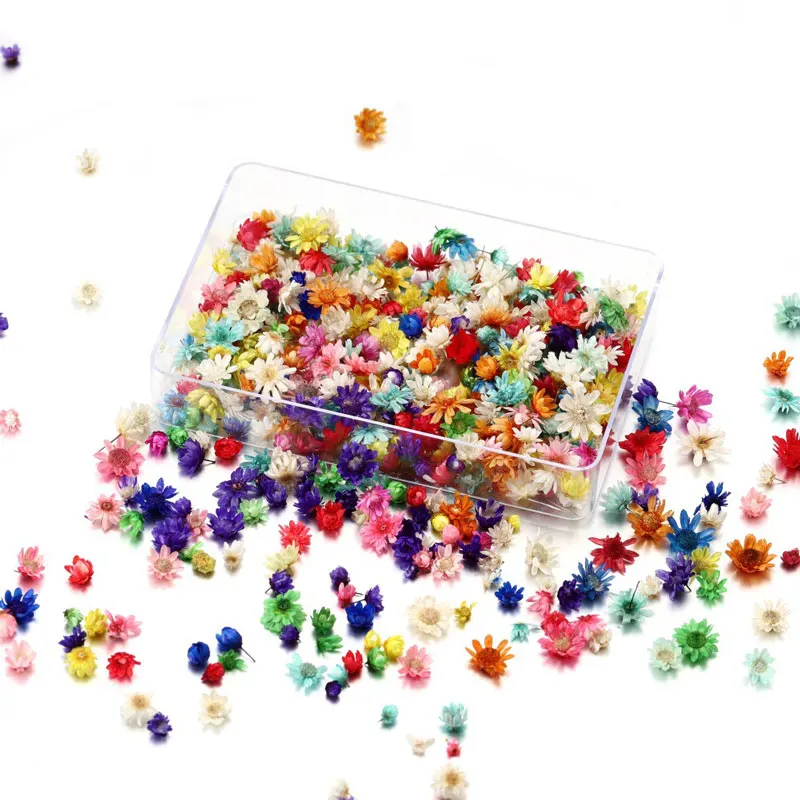 100pcs DIY Jewelry Accessories Garland Net Red Nail Art Decoration Crystal Epoxy Filler Wedding Small Star Flower Head Wholesale
100pcs DIY Jewelry Accessories Garland Net Red Nail Art Decoration Crystal Epoxy Filler Wedding Small Star Flower Head Wholesale