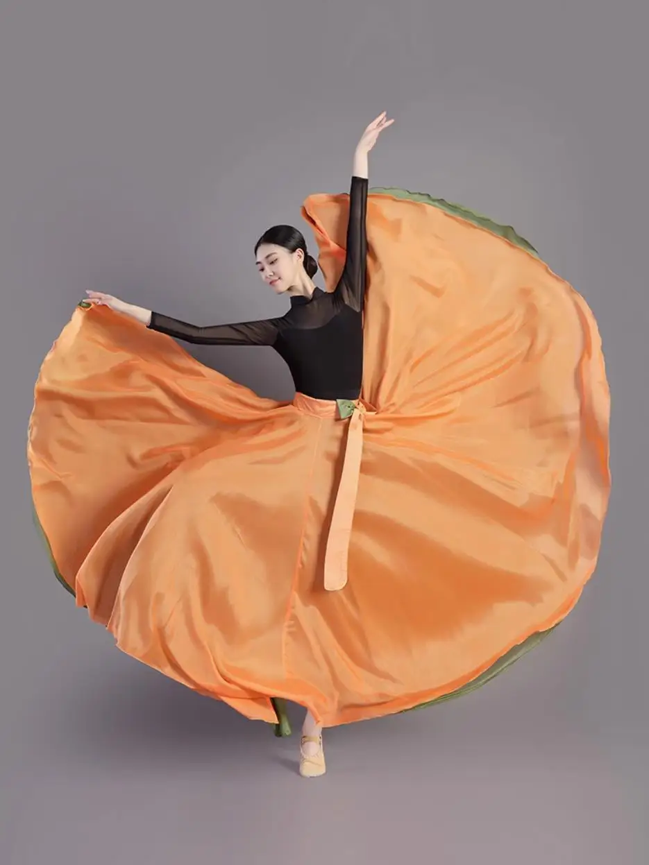 

Front And Back Modern Ballet Skirt Women Chiffon Adult Flamenco Skirt Long Women Ballroom Women Classical dance Skirt