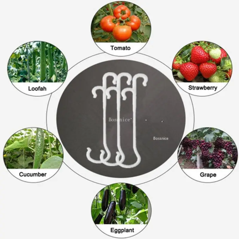 13/16cm Tomato Support J Hooks Plant Support Vegetable Clips To Prevent Tomatoes Fruit Cluster From Pinching or Falling Off
13/16cm Tomato Support J Hooks Plant Support Vegetable Clips To Prevent Tomatoes Fruit Cluster From Pinching or Falling Off