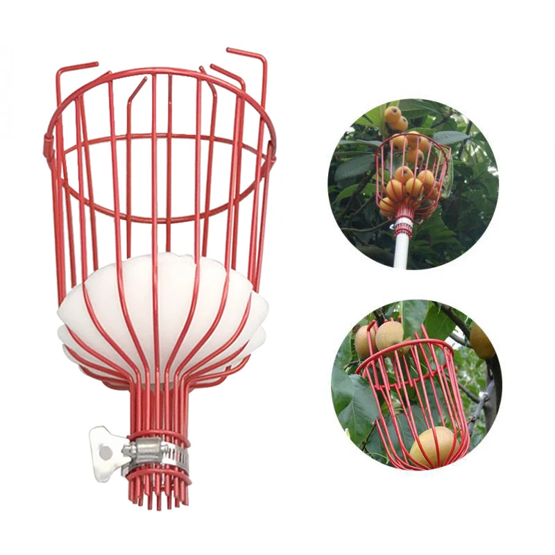 Garden Tool Deep Basket Fruit Picker Head Convenient Fruit Picker Catcher Apple Peach Picking Farm Garden Picking Device
Garden Tool Deep Basket Fruit Picker Head Convenient Fruit Picker Catcher Apple Peach Picking Farm Garden Picking Device