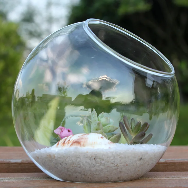 1PCS Transparent Oblique Spherical Glass Vase Hydroponic Fleshy Micro Landscape Glass Bottle Moss Home Decoration
1PCS Transparent Oblique Spherical Glass Vase Hydroponic Fleshy Micro Landscape Glass Bottle Moss Home Decoration