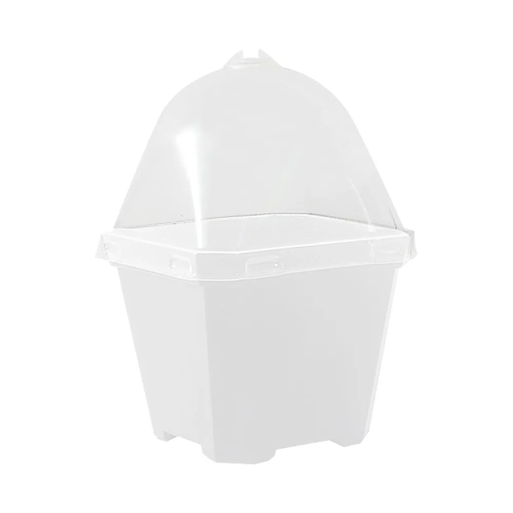 5 шт., прозрачный купольный горшок для рассады
5 шт., прозрачный купольный горшок для рассады