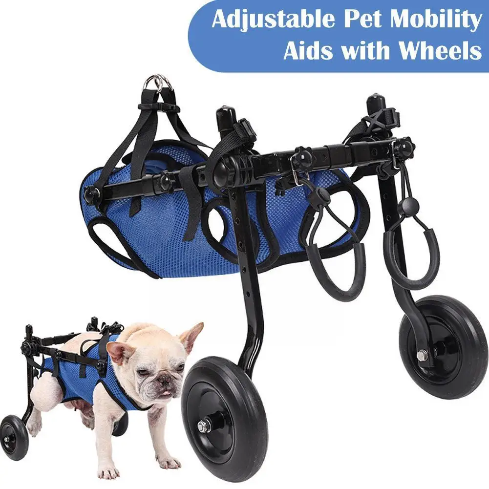 Adjustable Hind Limb Hind Leg Disabled Pet Cat Dog Tools Light Pet Mobility Aid Trolley Legs Rehabilitation Walk C9K9
Adjustable Hind Limb Hind Leg Disabled Pet Cat Dog Tools Light Pet Mobility Aid Trolley Legs Rehabilitation Walk C9K9