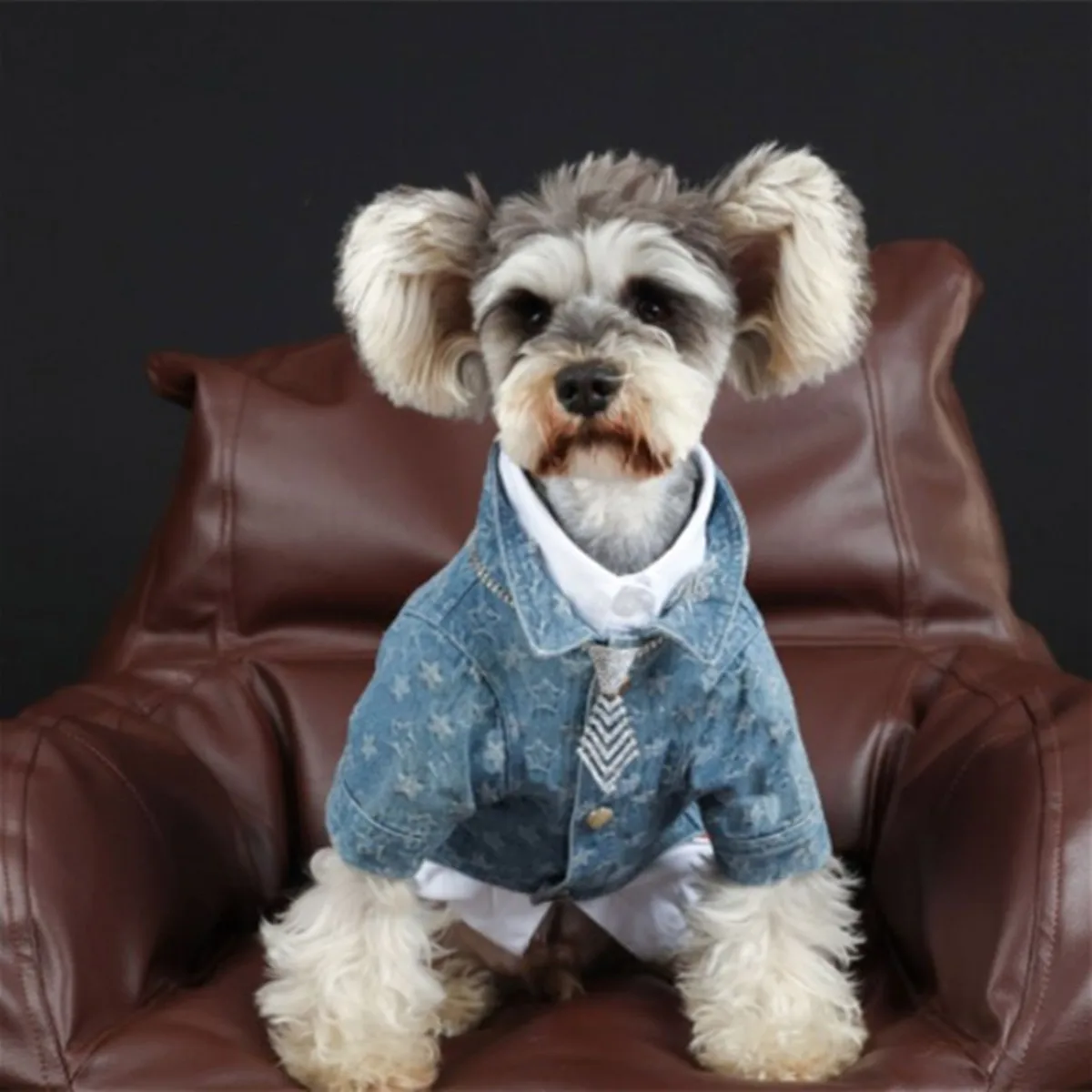 Куртка для собаки крутая модная одежда для домашних животных XS Puppi Весна Осень Мягкая джинсовая одежда с цветочным принтом Одежда для чихуахуа Джерси
Куртка для собаки крутая модная одежда для домашних животных XS Puppi Весна Осень Мягкая джинсовая одежда с цветочным принтом Одежда для чихуахуа Джерси