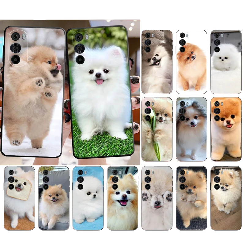 Phone Case for Moto E22i E22 E32 E40 E20 E7Power E7 E6 Plus Edge X30 20 Lite 20Pro 30 Neo Ultra Fusion Pomeranian Dog Case
Phone Case for Moto E22i E22 E32 E40 E20 E7Power E7 E6 Plus Edge X30 20 Lite 20Pro 30 Neo Ultra Fusion Pomeranian Dog Case