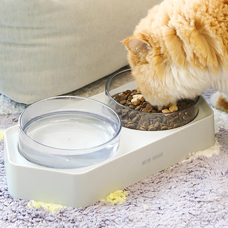 Pet Cat Bowl Double Bowls Raised Stand Drinking Dish Anti-slip Pet Bowls For Cats Dog Pet Food Bowl Elevated Feeder Cat Supplies
Pet Cat Bowl Double Bowls Raised Stand Drinking Dish Anti-slip Pet Bowls For Cats Dog Pet Food Bowl Elevated Feeder Cat Supplies