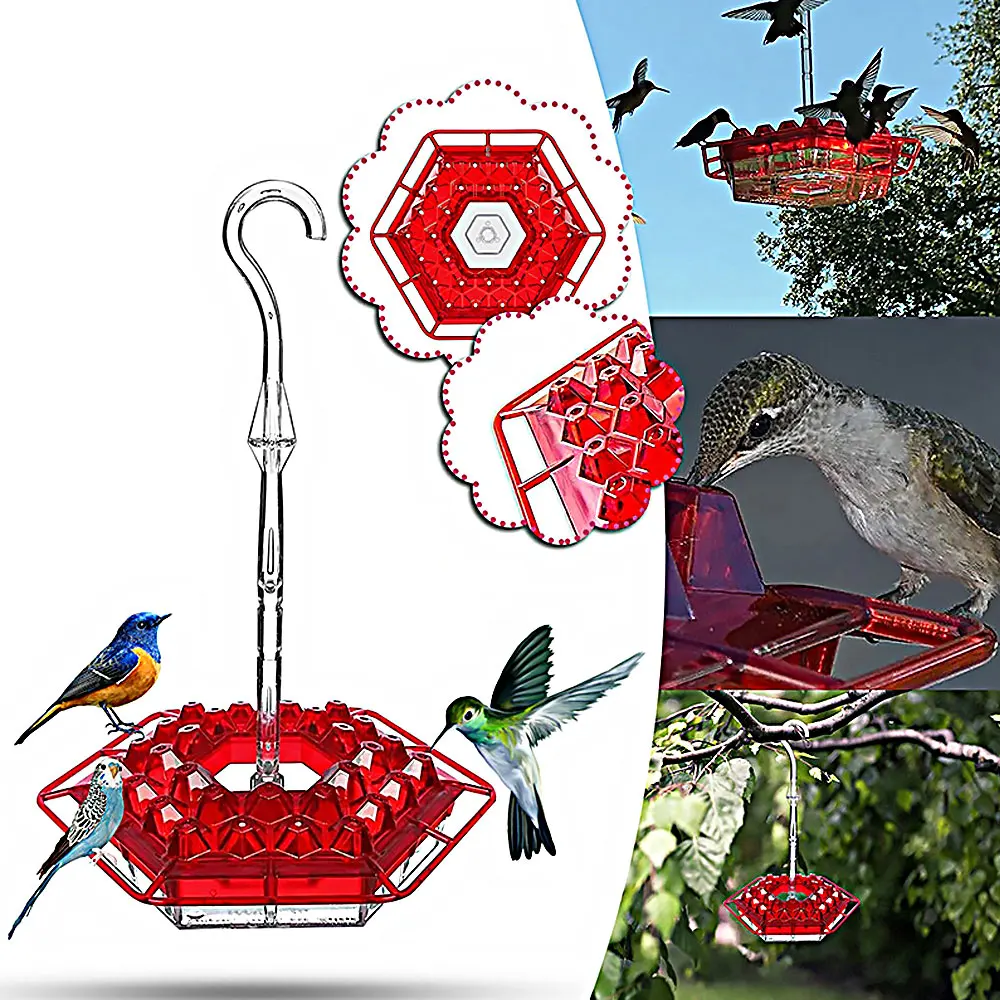 Marys Hummingbird Feeder with Perch and Built-In Ant Moat Outdoor Bird Feeder Pet Bird Supplies
Marys Hummingbird Feeder with Perch and Built-In Ant Moat Outdoor Bird Feeder Pet Bird Supplies