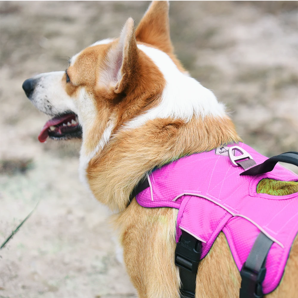 

Blackdoggy VC16-OHC001 Classical Outdoor Dog Harness with Durable Nylon Material in Breathable mesh