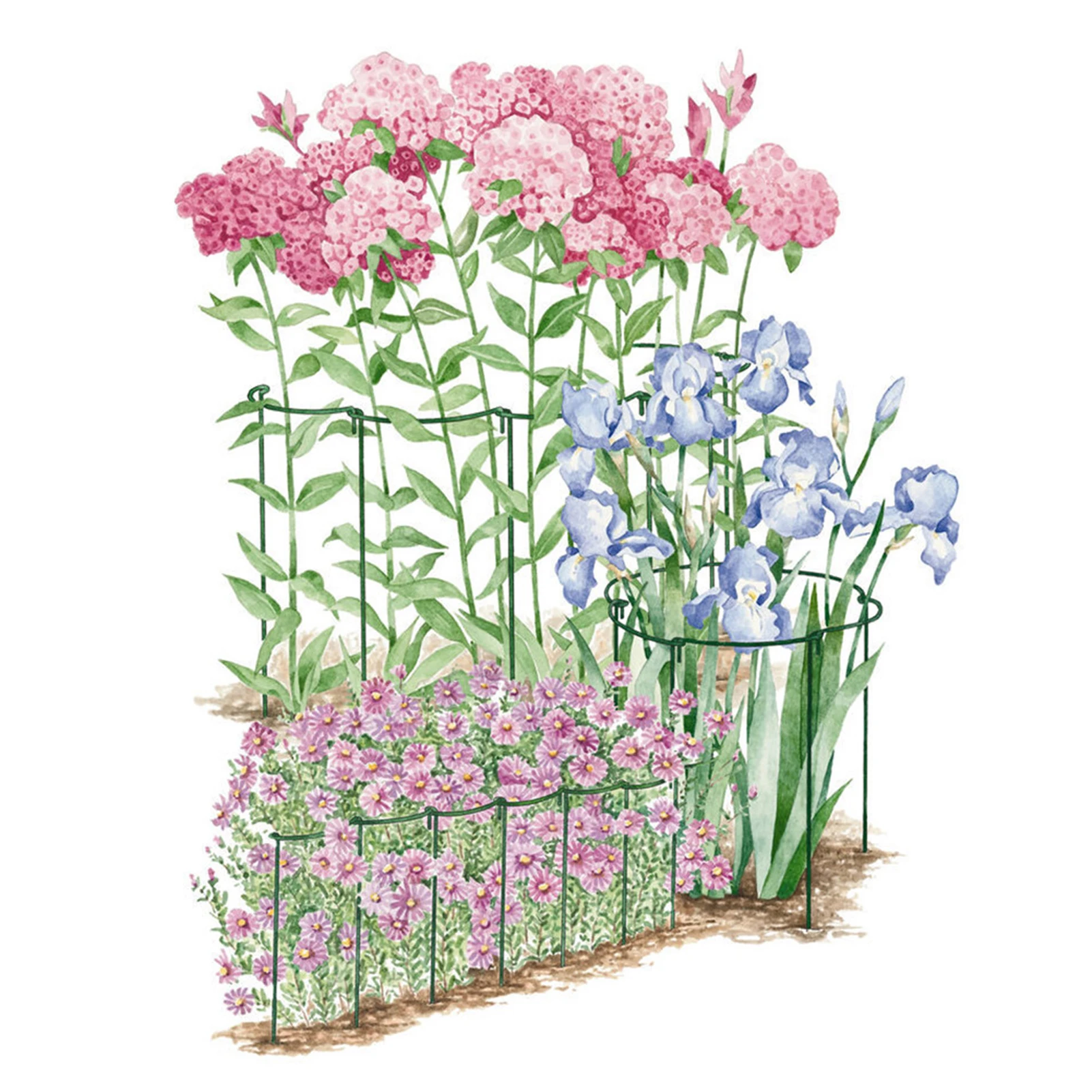 Plant Supports Garden Potted Plant Support Stakes Green Half Round Plant Support Rings Strong Metal Garden Supports For Flower
Plant Supports Garden Potted Plant Support Stakes Green Half Round Plant Support Rings Strong Metal Garden Supports For Flower