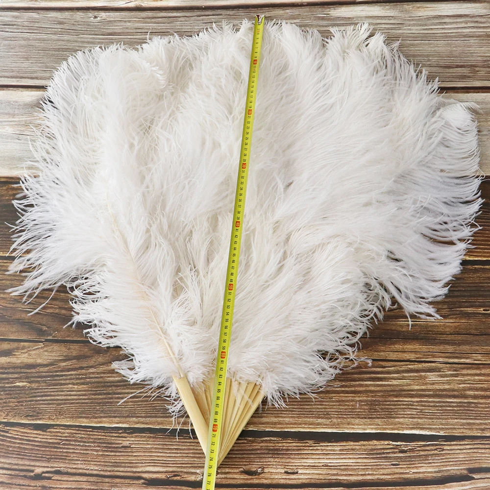 White Ostrich Feathers Hand fan 13 Bone handmade Show Ostrich fan props for Wedding Party Stage Prom Decorative
White Ostrich Feathers Hand fan 13 Bone handmade Show Ostrich fan props for Wedding Party Stage Prom Decorative