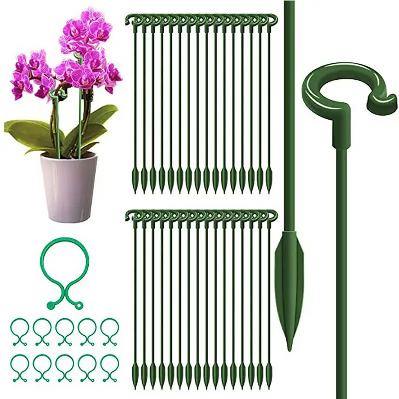 Plant Sticks Support Single Stem Circle Stakes With Clips For Flower Support Orchid Stakes To Keep Straight Plant Poles Supports
Plant Sticks Support Single Stem Circle Stakes With Clips For Flower Support Orchid Stakes To Keep Straight Plant Poles Supports