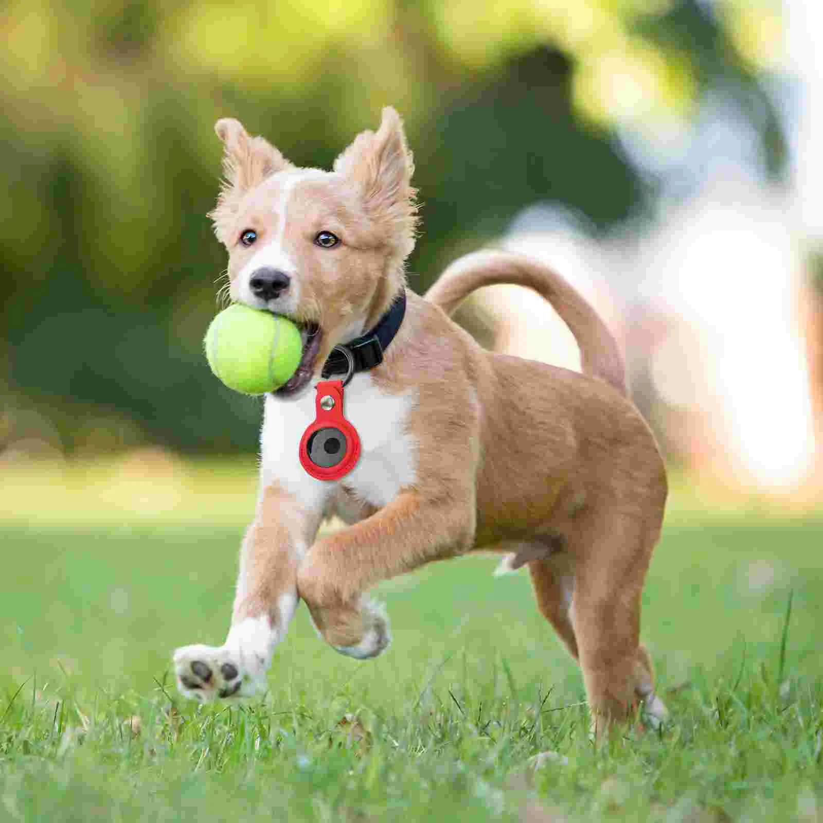 Case Tracer Storage Protector Device Travel Tracking Hard Wireless Bumper Keychain Pendant Cover Pets Locating
Case Tracer Storage Protector Device Travel Tracking Hard Wireless Bumper Keychain Pendant Cover Pets Locating