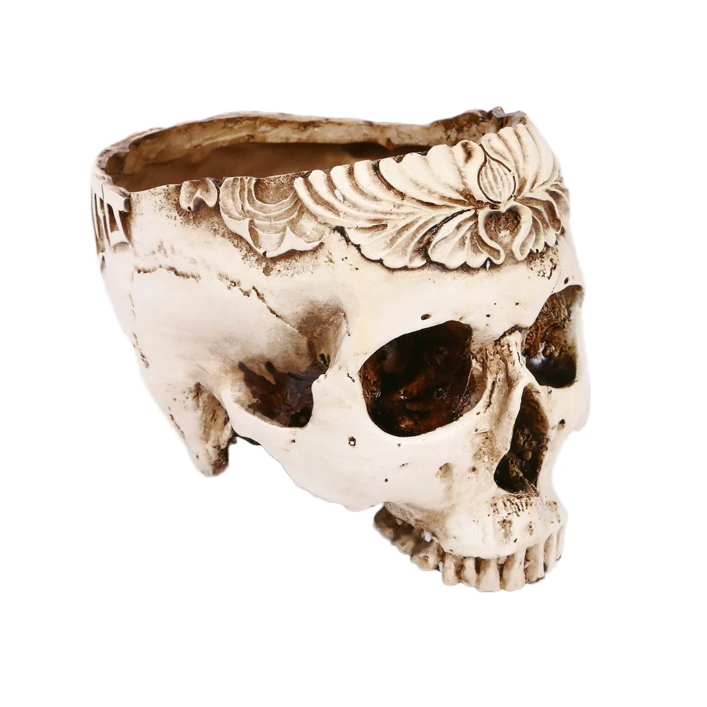 Skullskeleton Pot Holder Planterhead Flower Vase Pots Statue Ashtray Figurine Succulent Pen Human Novelty Bowl Candy Figurines
Skullskeleton Pot Holder Planterhead Flower Vase Pots Statue Ashtray Figurine Succulent Pen Human Novelty Bowl Candy Figurines