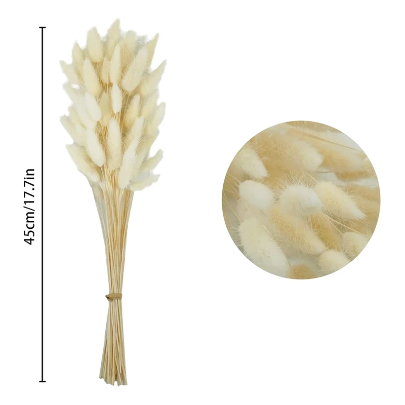 50PCS Natural Rabbit's Tail Grass,17Inch Dried Pampas Grass For Wedding Home Decoration Flower Arrangements(White)
50PCS Natural Rabbit's Tail Grass,17Inch Dried Pampas Grass For Wedding Home Decoration Flower Arrangements(White)