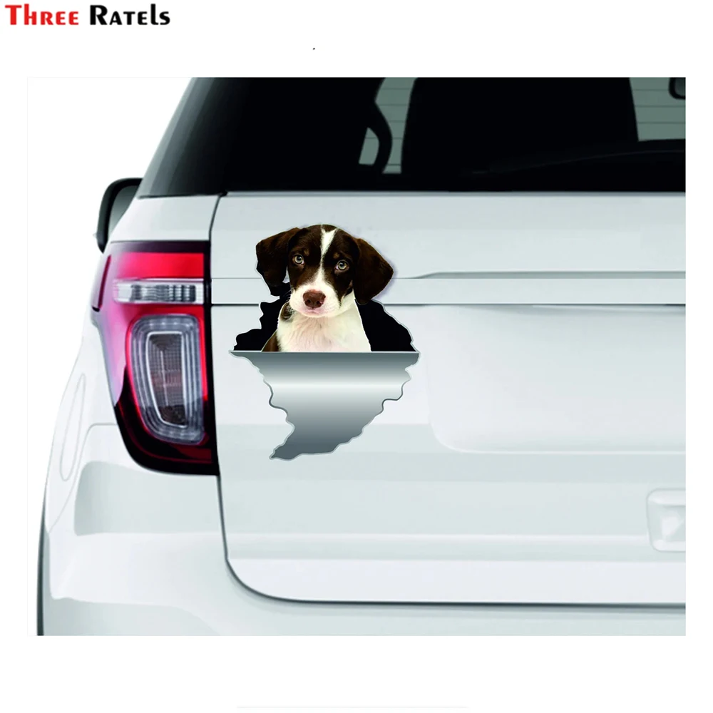 Three Ratels I666 Danish Swedish Farmdog Sticker And Declas For honda civic toyota corolla
Three Ratels I666 Danish Swedish Farmdog Sticker And Declas For honda civic toyota corolla