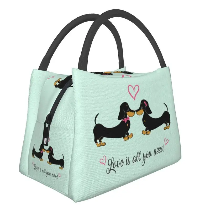 Cute Dachshund Dog Insulated Lunch Bags for Women Sausage Wiener Badger Dogs Portable Thermal Cooler Bento Box Work Travel
Cute Dachshund Dog Insulated Lunch Bags for Women Sausage Wiener Badger Dogs Portable Thermal Cooler Bento Box Work Travel