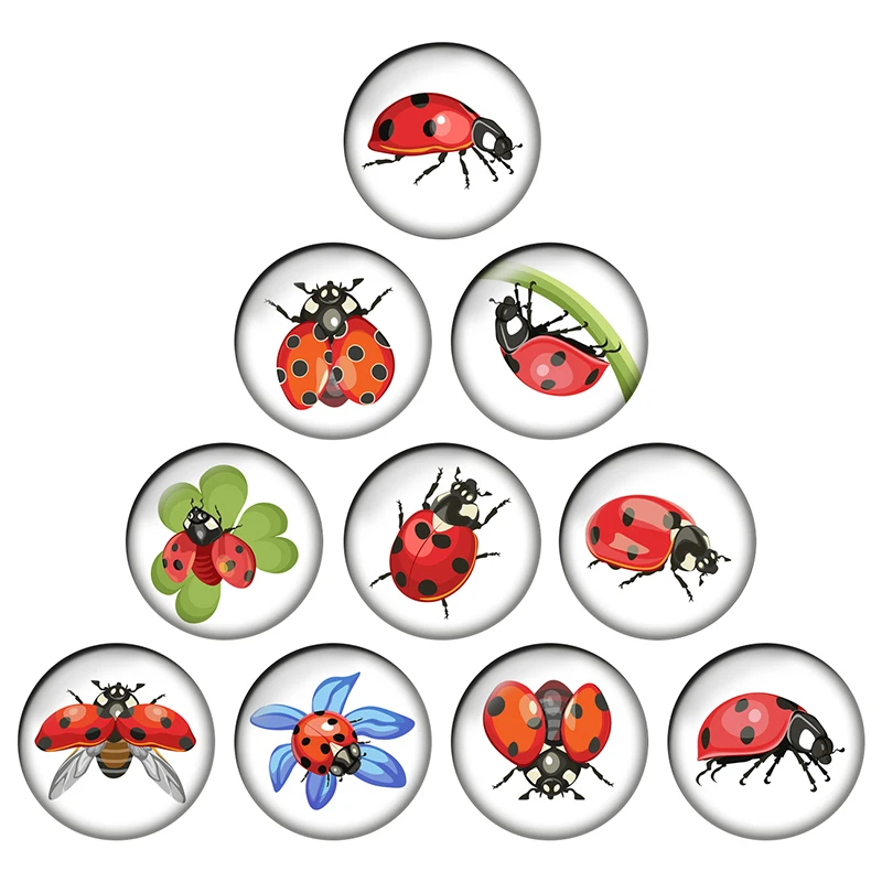 24pcs/lot Cartoon Cute Animal Red Ladybug Round Photo Glass Cabochon Demo Flat Back Making Findings Jewelry Accessories H020
24pcs/lot Cartoon Cute Animal Red Ladybug Round Photo Glass Cabochon Demo Flat Back Making Findings Jewelry Accessories H020