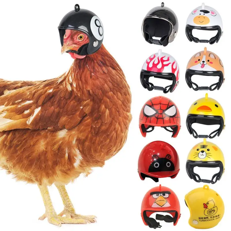 Защита головы для куриных птиц жесткая шляпа защита головы для маленьких птиц цыплят забавные шлемы для домашней птицы костюмы для маленьк...
Защита головы для куриных птиц жесткая шляпа защита головы для маленьких птиц цыплят забавные шлемы для домашней птицы костюмы для маленьк...
