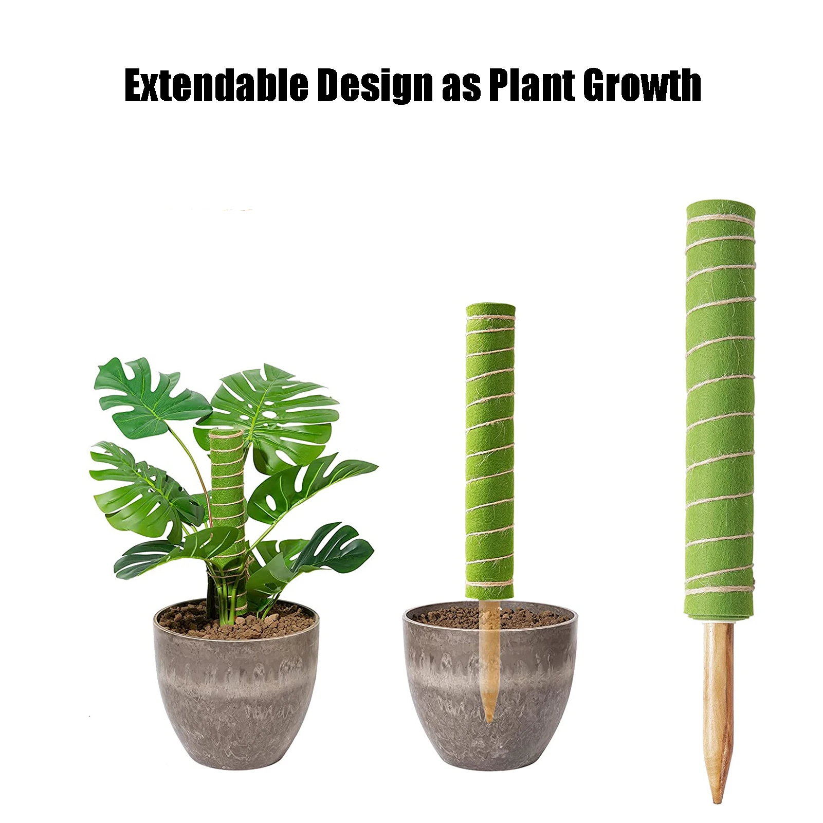Моховая стойка Monstera, Моховая стойка для растений, 2 шт., Моховая стойка для альпинизма, тканевые моховые палочки для поддержки альпинизма
Моховая стойка Monstera, Моховая стойка для растений, 2 шт., Моховая стойка для альпинизма, тканевые моховые палочки для поддержки альпинизма