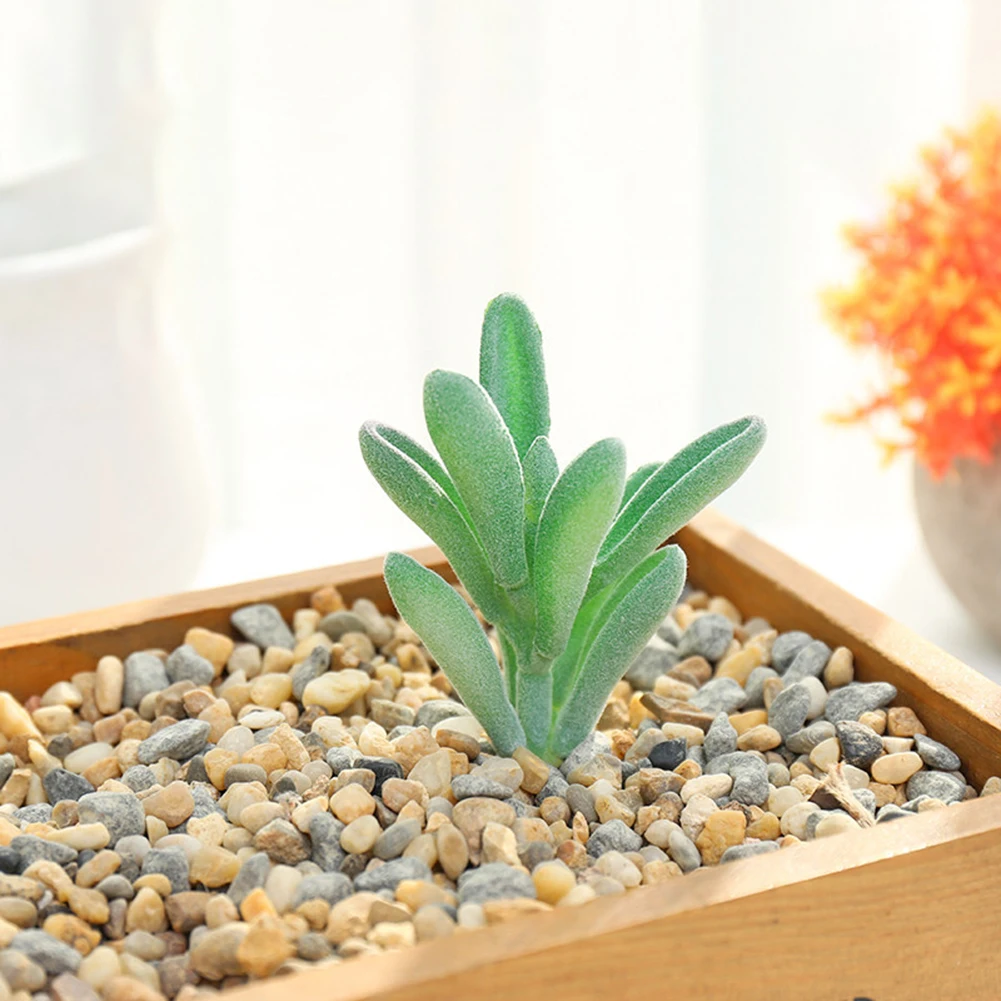 Floral Decor Artificial Plant Colourful Fake Plants Floral Decor Home Decor Plastic Flowers Artificial Succulent
Floral Decor Artificial Plant Colourful Fake Plants Floral Decor Home Decor Plastic Flowers Artificial Succulent