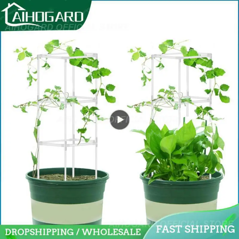 Garden Plant Climbing Vine Combination Bracket Gardening Plant Auxiliary Fixed Bracket Clip Combined Support
Garden Plant Climbing Vine Combination Bracket Gardening Plant Auxiliary Fixed Bracket Clip Combined Support