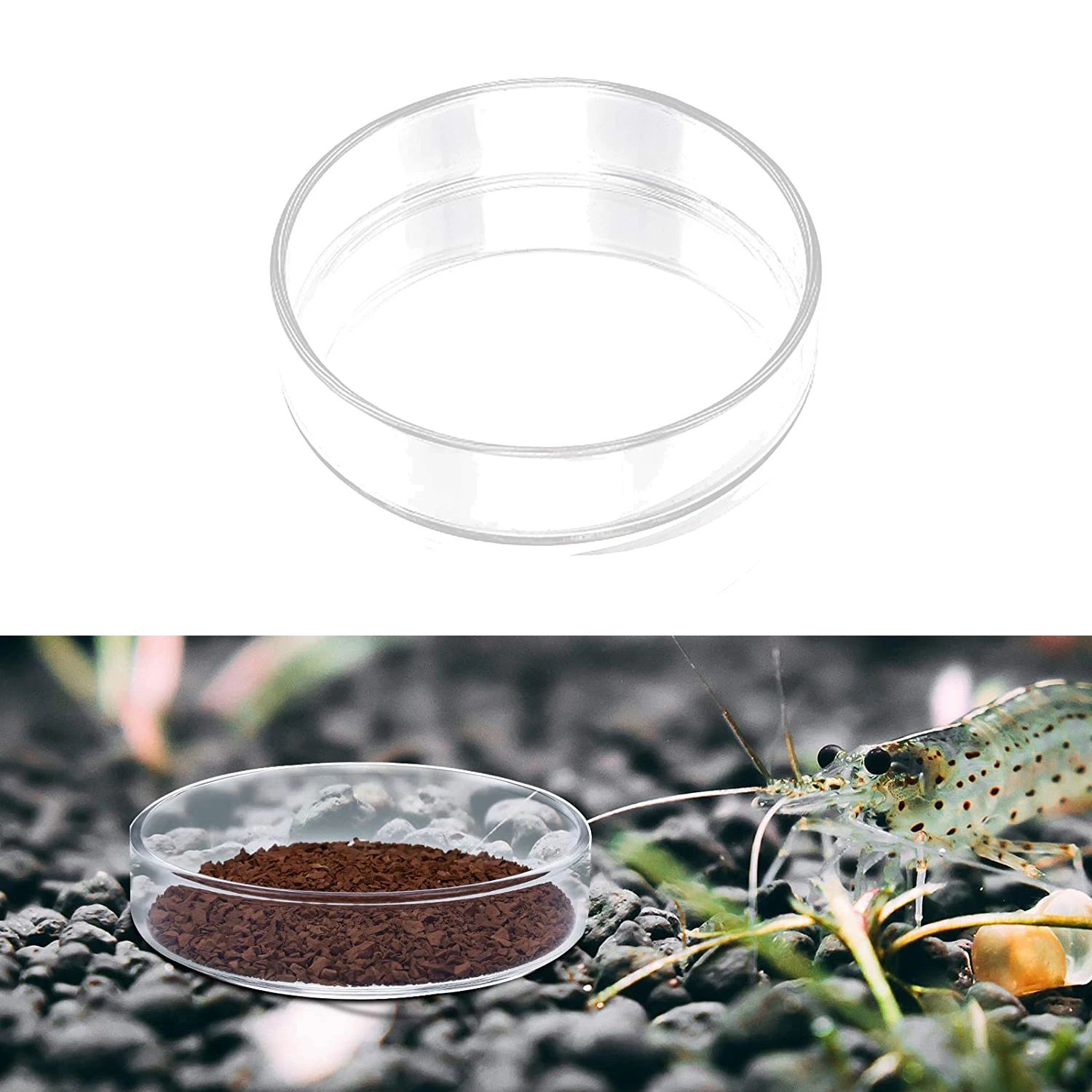 Aquarium Shrimp Feeding Dish Bowls Fish Tank Tropical Fish Ratfish Feeder Round Food Container Clear Glass Dish Tray Water Clean 
Aquarium Shrimp Feeding Dish Bowls Fish Tank Tropical Fish Ratfish Feeder Round Food Container Clear Glass Dish Tray Water Clean