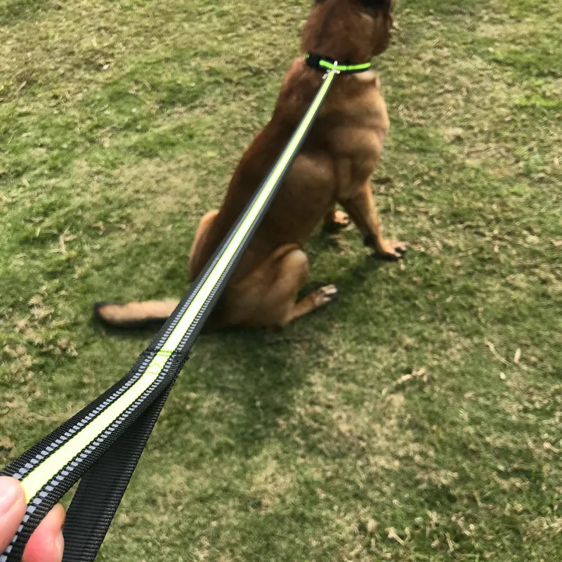 Reflective Dog Collar Pet Reusable Accessories Cat Collar Personalized Dogs Breathable Soft Neoprene Nylon Retractable Leash
Reflective Dog Collar Pet Reusable Accessories Cat Collar Personalized Dogs Breathable Soft Neoprene Nylon Retractable Leash