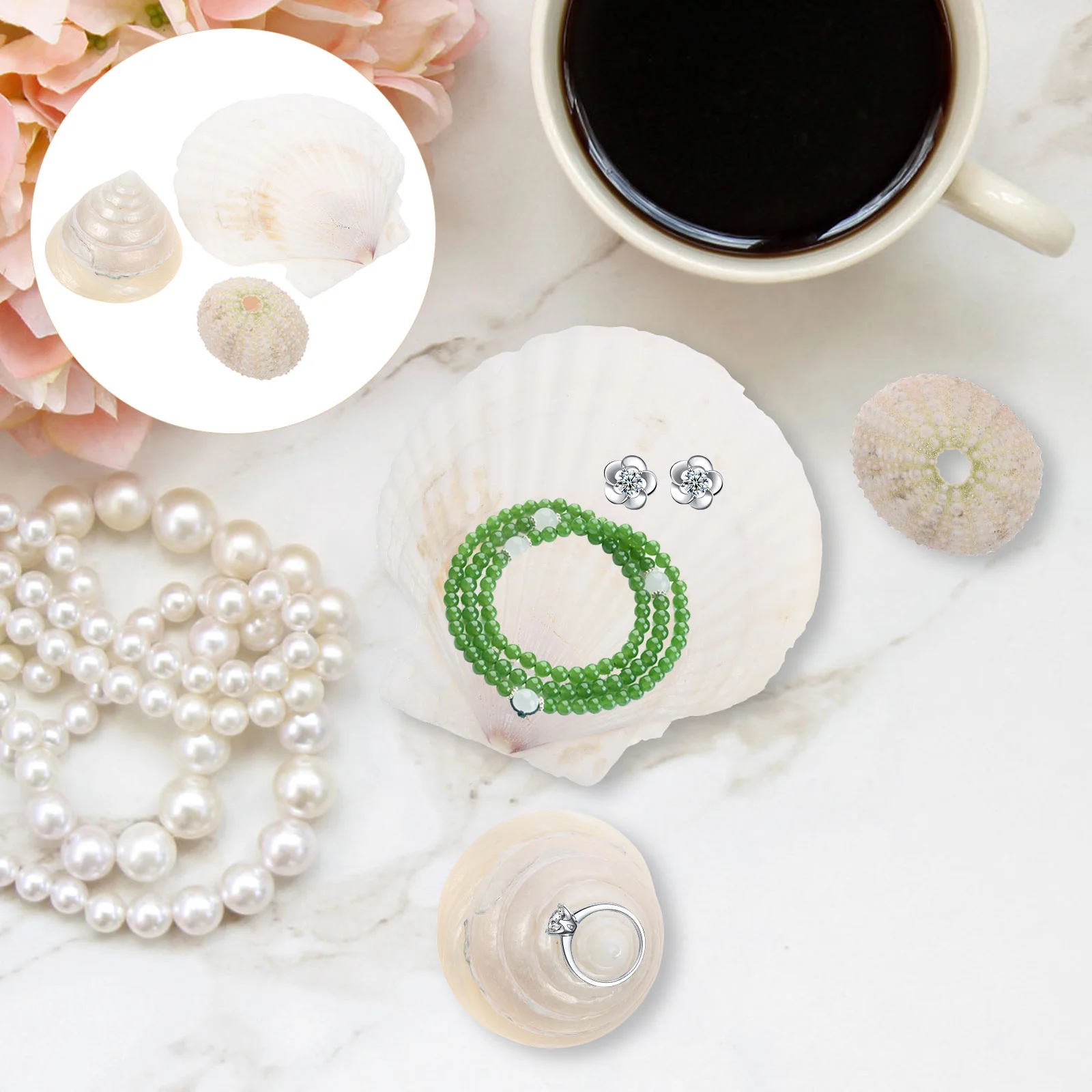 3pcs Natural Conch Sea Shell Scallop Shell Sea Urchin for Jewelry Decoration
3pcs Natural Conch Sea Shell Scallop Shell Sea Urchin for Jewelry Decoration
