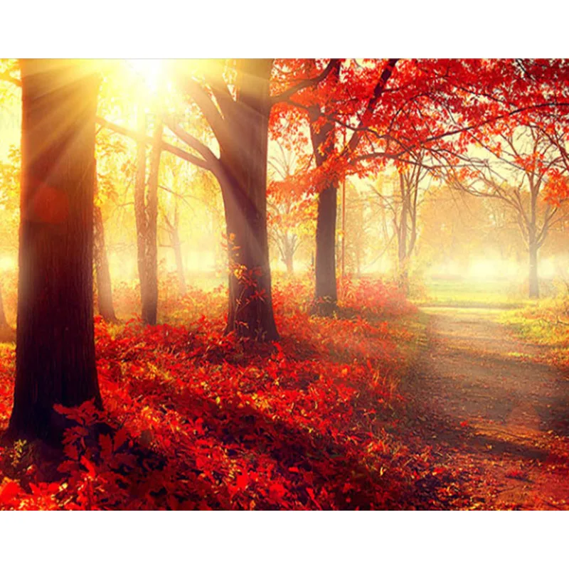JIEME 5D DIY Diamond Painting Sunset Full Drill Round Home Decoration Landscape Tree Embroidery Handcraft Art Kits
JIEME 5D DIY Diamond Painting Sunset Full Drill Round Home Decoration Landscape Tree Embroidery Handcraft Art Kits