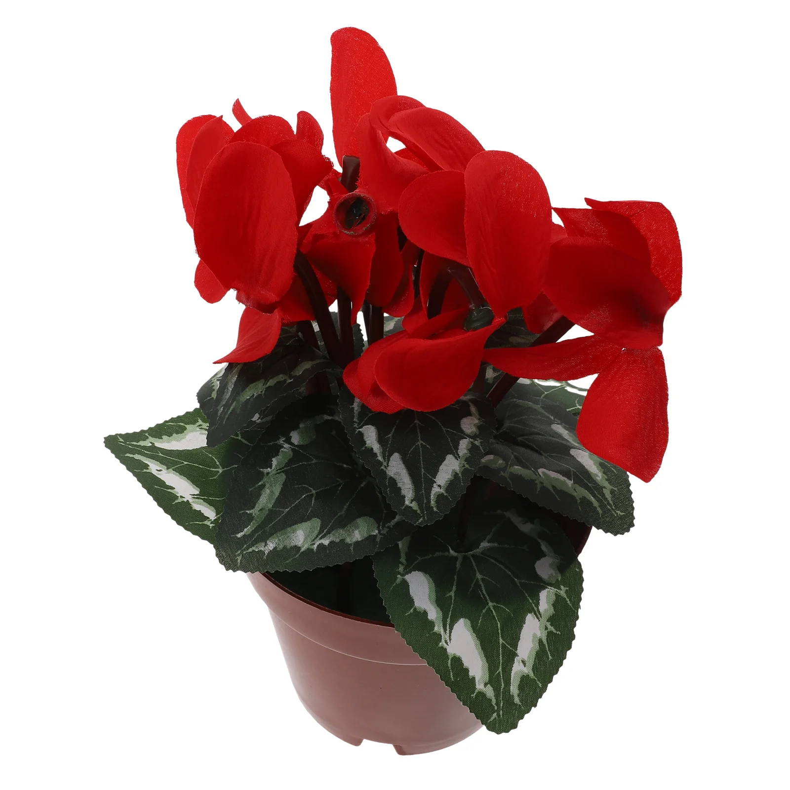Artificial Potted Flowers Bonsaifake Flower Faux Mini Rose Pot Treein Redwith Poinsettia Decorative Wedding Pots Decor
Artificial Potted Flowers Bonsaifake Flower Faux Mini Rose Pot Treein Redwith Poinsettia Decorative Wedding Pots Decor